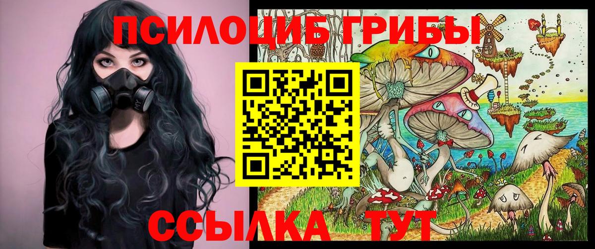 Галлюциногенные грибы Magic Shrooms Подольск