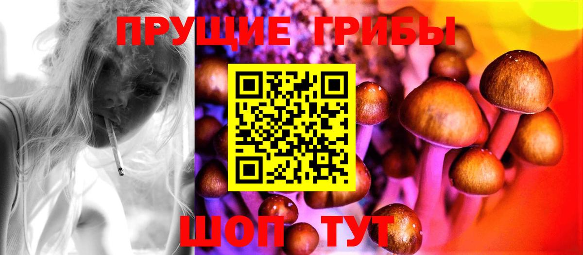Псилоцибиновые грибы GOLDEN TEACHER  Вход с VPN  Подольск 